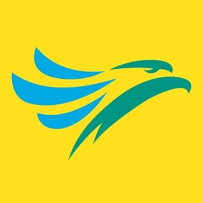 Cebu Pacific Air profile
