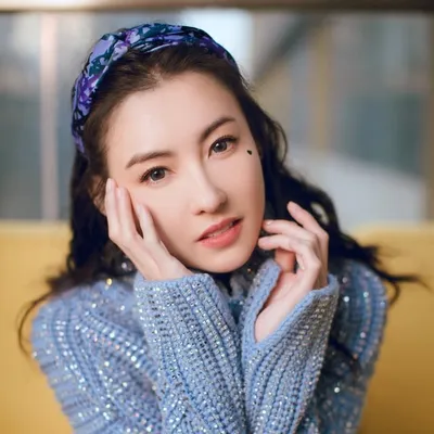 張柏芝 profile