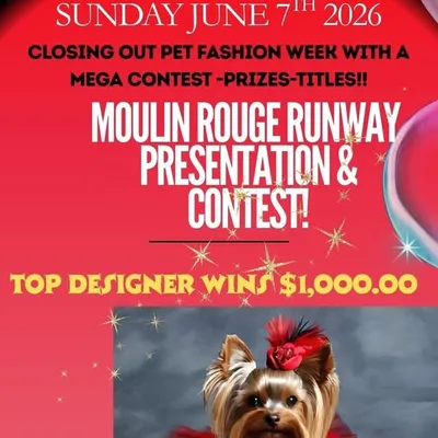 SC Pet Fashion Week profile