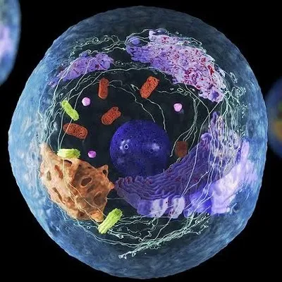 Cell Sense profile