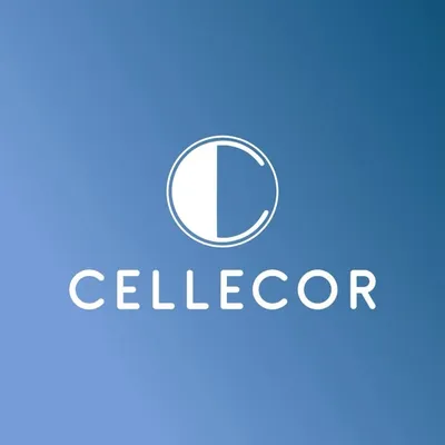 Cellecor Gadgets Ltd. profile