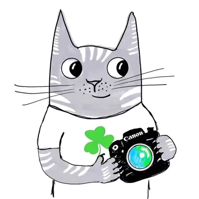 🍀 ⲇⲛ𝖽ʀⲉἷ 🍷 profile