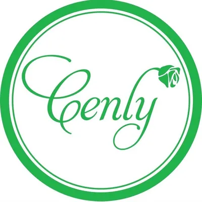 TỔNG CÔNG TY CENLY VIỆT NAM profile