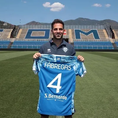 Cesc Fàbregas profile