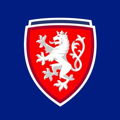 Česká fotbalová reprezentace profile