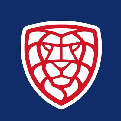 Český florbal profile