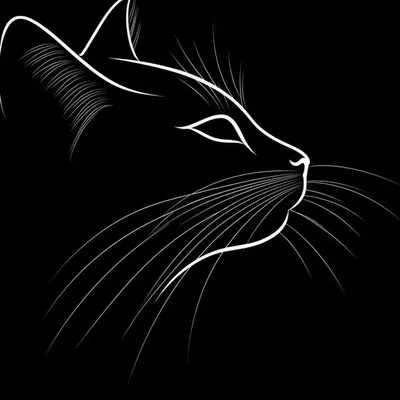 Fai profile