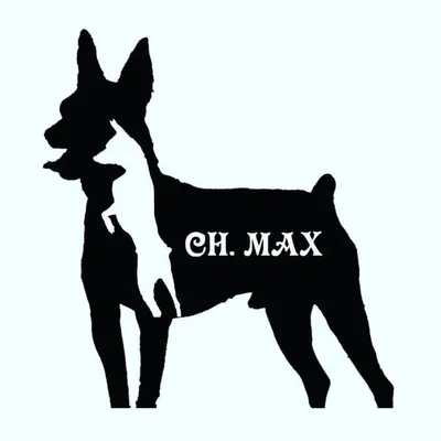 Miniature Pinuture profile