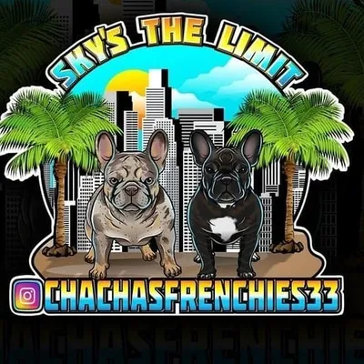 CHACHASFRENCHIES33 ✈️SKYS THE LIMIT✈️ profile