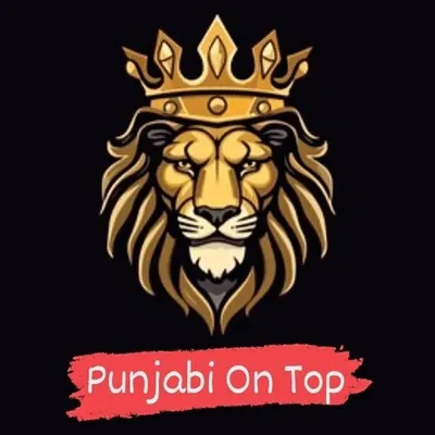 Punjabi On Top profile