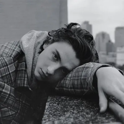 Timothée Chalamet profile