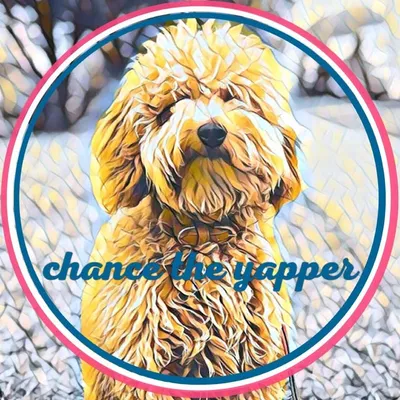 • CHANC3 THE YAPPER • profile