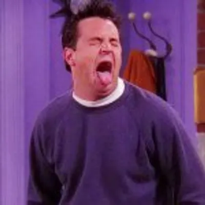 Chandler Bing profile