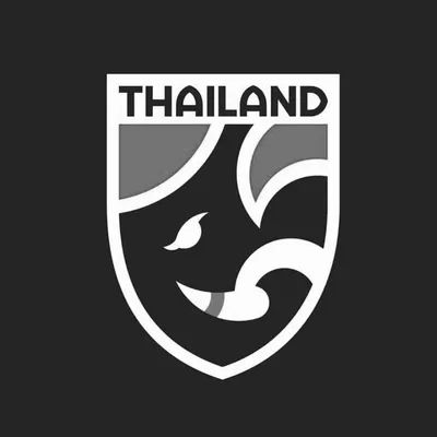 ช้างศึก ฟุตบอลทีมชาติไทย 🇹🇭 profile