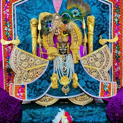 श्री चारभुजानाथ कोटडी profile