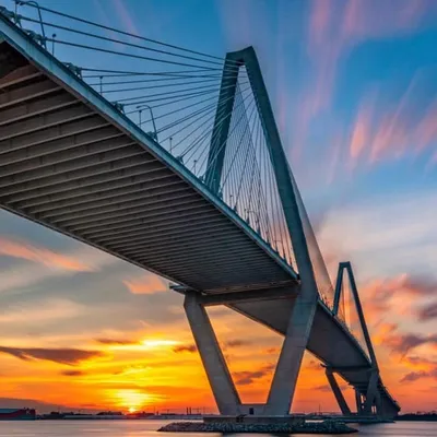 Official Account of Charleston profile