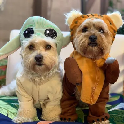 Charlie & Vinny M profile
