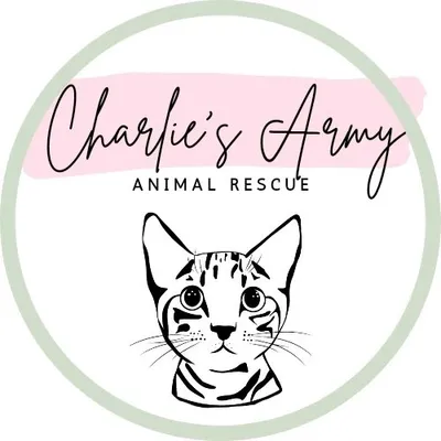 Marie Gutshall profile