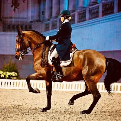 Charlotte Haid-Bondergaard profile