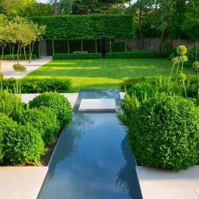 Charlotte Rowe award winning garden and landscape designer profile
