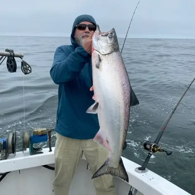 Chartle Charters profile