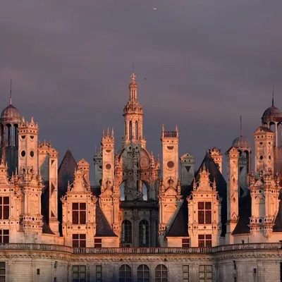 Château de Chambord profile
