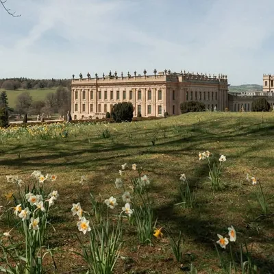 Chatsworth profile