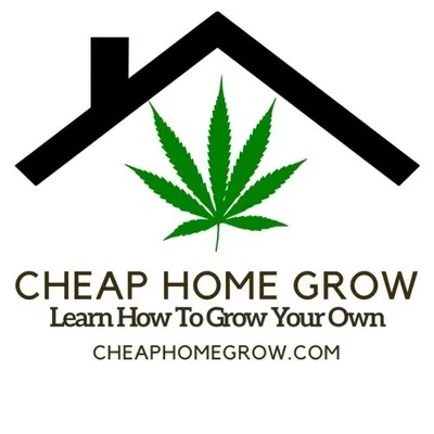 Cheap Home Grow | Podcast profile