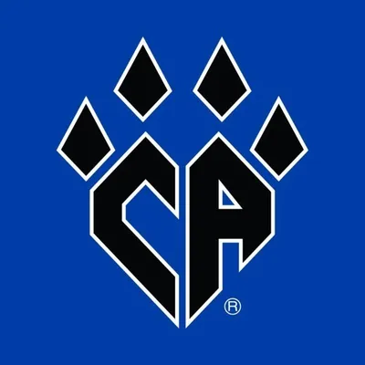 Cheer Athletics profile