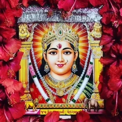 ચેહર ના દિવાના🥰❤️ profile