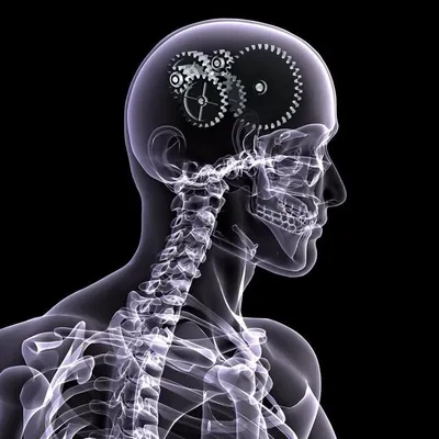 Medical profile