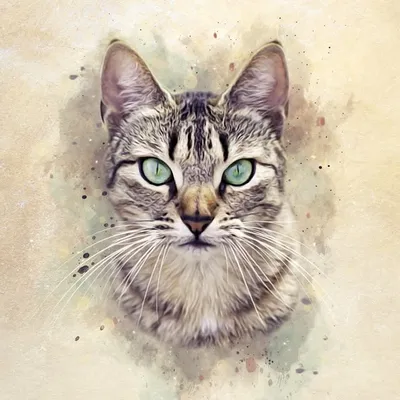 Cherish’s Kitties profile