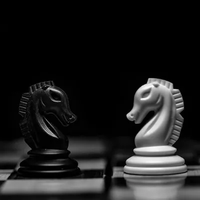 Chessgasm profile