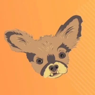 Chewie the Chi profile