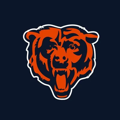 Chicago Bears profile