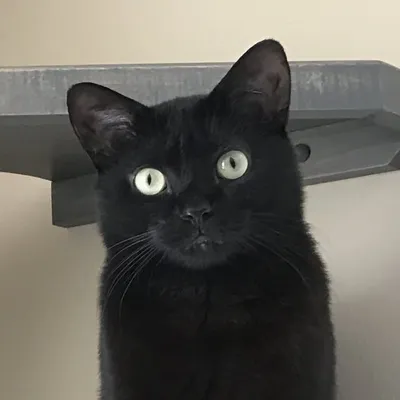 M I K I T A & D A H L I A Instagram profile photo