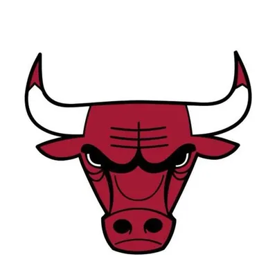Chicago Bulls profile