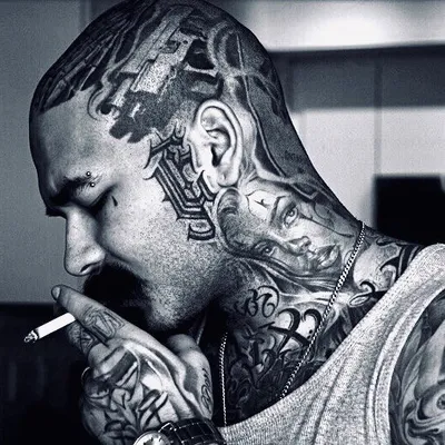 Ace profile