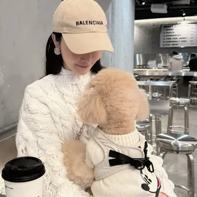 Chich Yi profile
