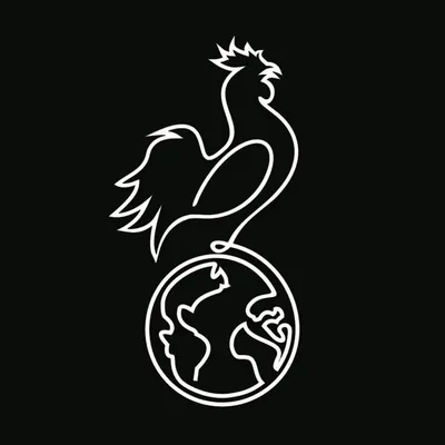Chicken International ๐ฅ๐ profile