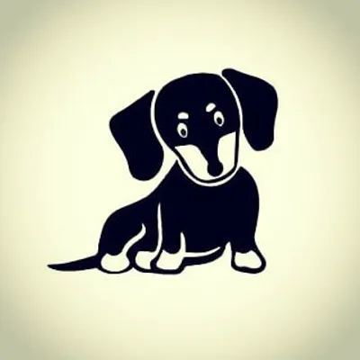 Pour Les Fans De Chiens ๐ profile
