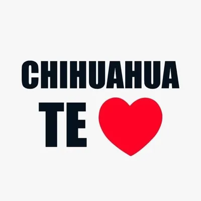 Chihuahua Te Amo profile