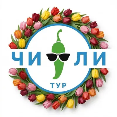 ЧИЛИ ТУР | Жизнь в Путешествии profile