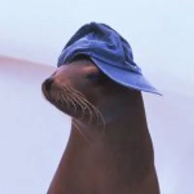 ๐ฎ๐๐๐๐ ๐๐๐๐๐๐๐๐ ๐๐ผ profile