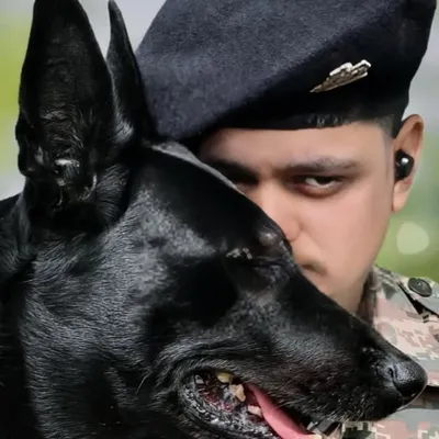 Rudra Rajput profile