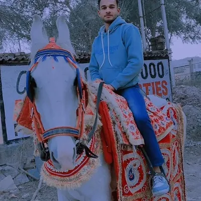 annu charg profile