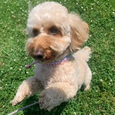 ใกใใฒใ๐ถ profile