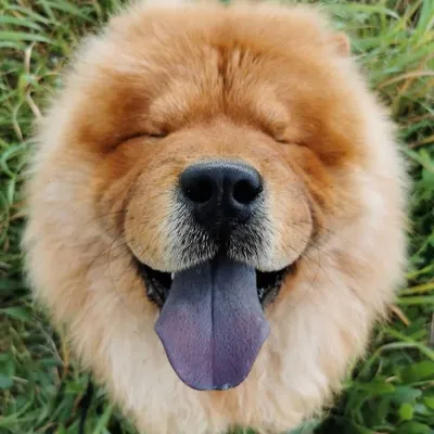 ๐ฒ๐๐๐ ๐ฒ๐๐๐ profile