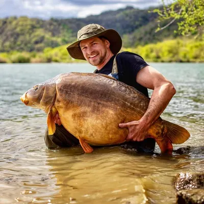 Christopher Paschmanns profile