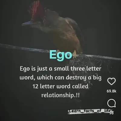 churu insta profile